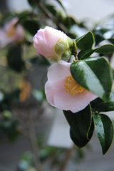 ファイル 60-2.jpg