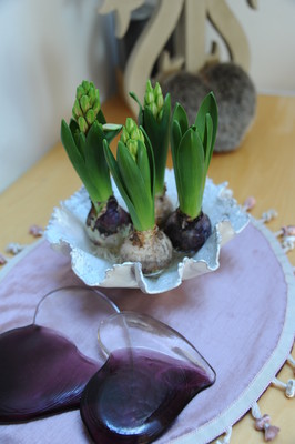 20160202105311.JPG