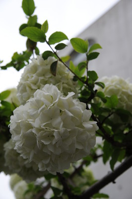 20160418113946.JPG