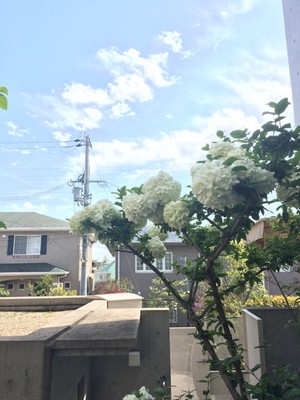 20150423172628.22ランチ空.jpg