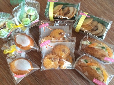 20160526154343.26キャトル全体.jpg